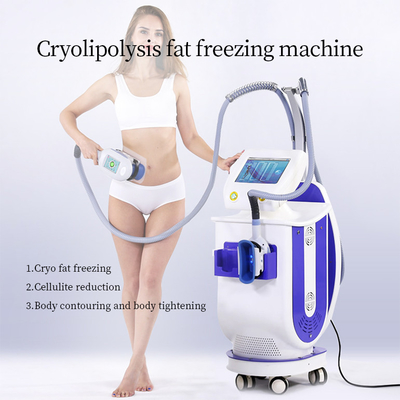 導かれたCryolipolysisの真空機械脂肪質のセルライトの凍結のキャビテーションの減量の垂直
