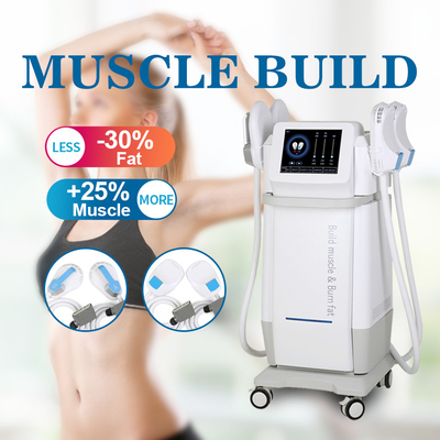 EMS 4 ハンドル 身体彫刻機 エムス 筋肉刺激機 痩身