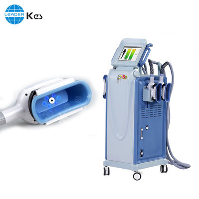 脂肪質の減少の Cryolipolysis 機械真空のセルライトの取り外しを細くする縦機械