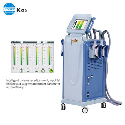 減量のための強力な Cryolipolysis の本体より細い機械